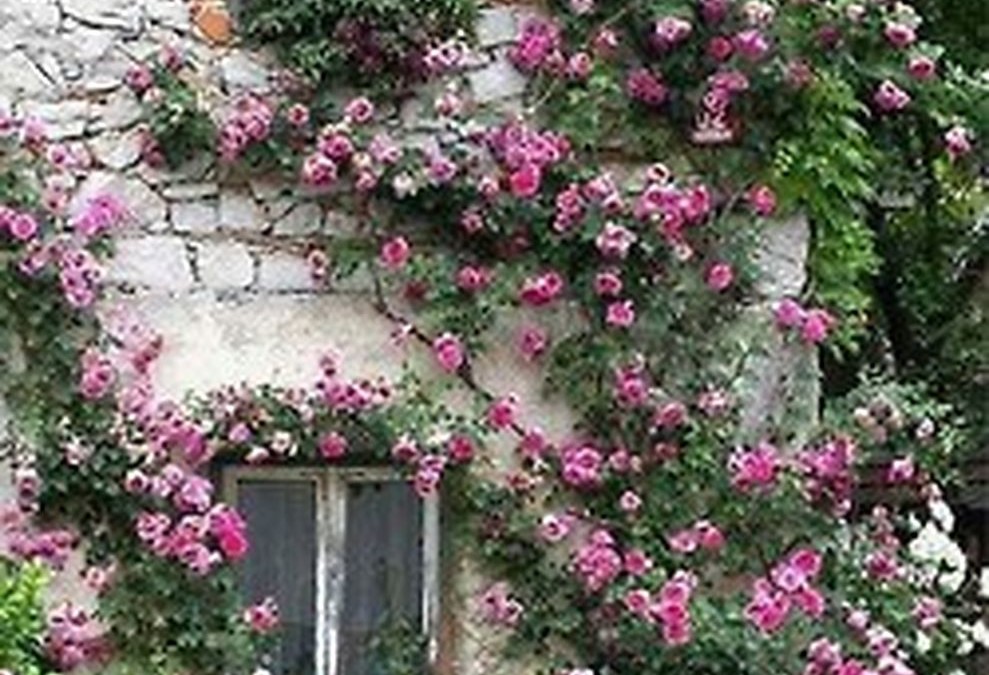 Beautiful french cottage garden design ideas 60