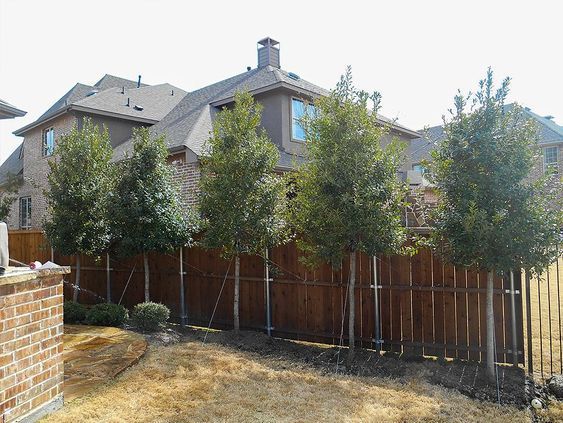 Popular privacy fence ideas 11
