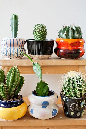 Small-cactus-decoration-ideas1