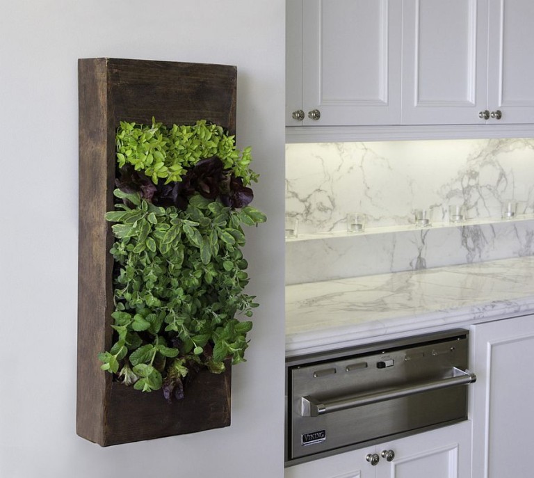 Small-herb-garden-in-the-kitchen-also-doubles-as-an-aesthetic-addition-768x687